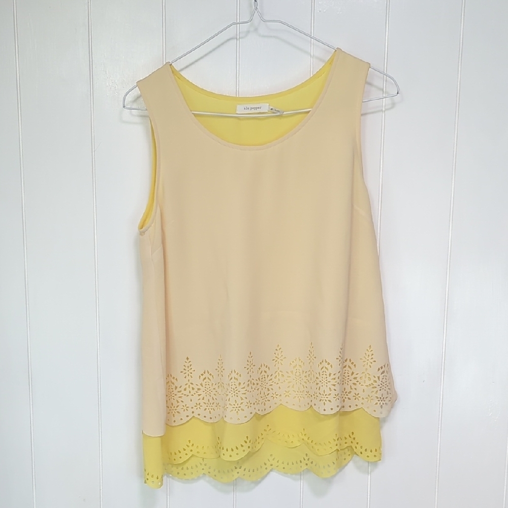 ❤️5/$25 Blu Pepper Cream and Yellow Layered Blouse